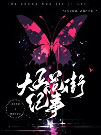 蝶之毒华之锁·花街纪事封面