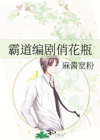 霸道编剧俏花瓶封面