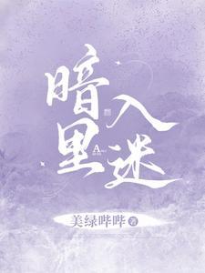 暗裏入迷封面