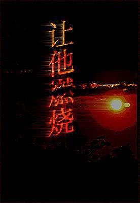 让他燃烧封面