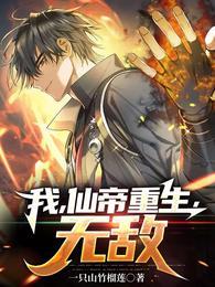 我，仙帝重生，无敌封面
