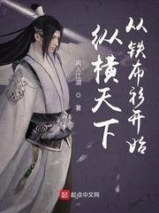 纵横天下从铁布衫开始封面
