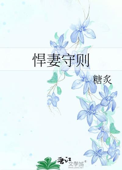 悍妻守则封面