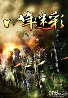 八年迷彩封面