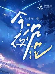 今夜沈沦封面