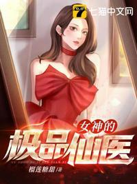 女神的极品仙医封面