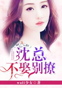 沈总，不娶别撩封面