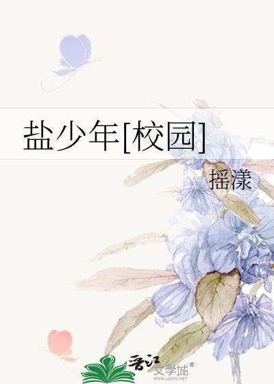 盐少年[校园]封面