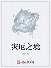 灾厄之境封面