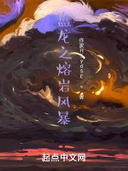 盘龙之熔岩风暴封面