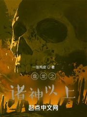 盘龙之诸神以上封面