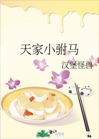 天家小驸马封面