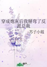 穿成炮灰后我掰弯了反派总裁封面