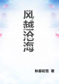 风越沧海封面
