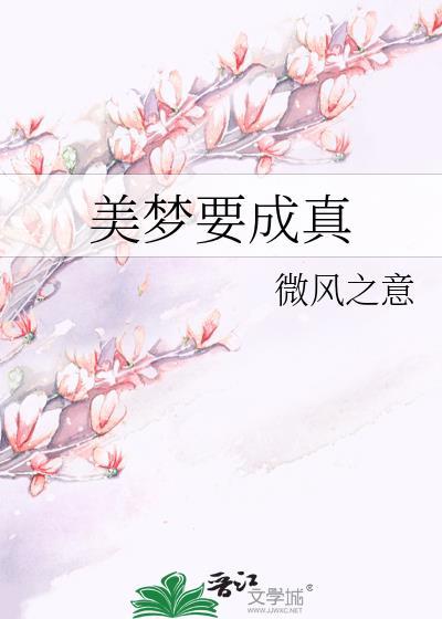 美梦要成真封面