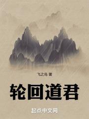 轮回道君封面