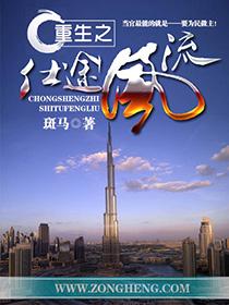 重生之仕途风流封面