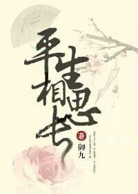 王爷寻妻记封面