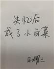 失忆后成了小白菜封面