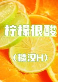 柠檬很酸封面