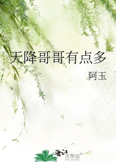 天降哥哥有点多封面