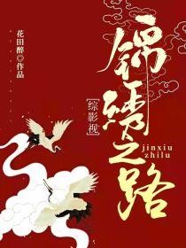 综影视：锦绣之路封面