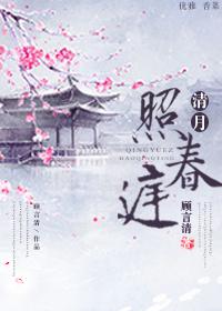 清月照春庭封面