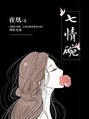 七情碗封面