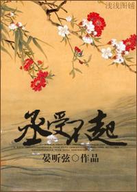 丞受不起封面