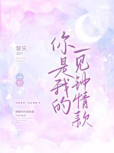 你是我的一见钟情款封面