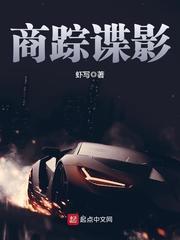 商踪谍影封面