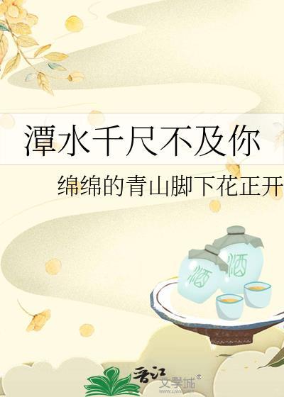 潭水千尺不及你封面