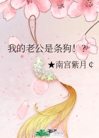 狗老公封面