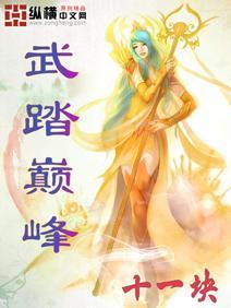 武踏巅峰封面