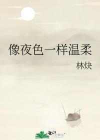 像夜色一样温柔封面