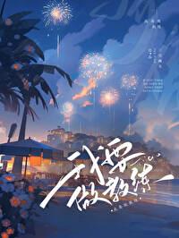 伴你高飞[足球]封面