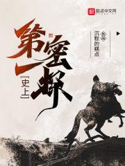 史上第一密探封面