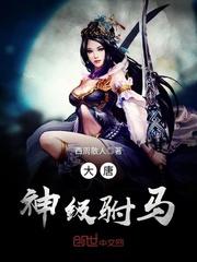 大唐神级驸马封面