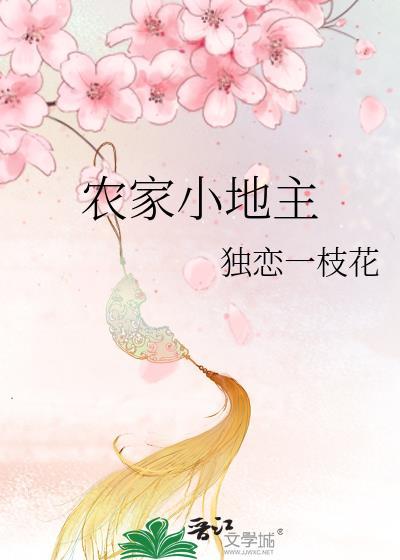 农家小地主封面