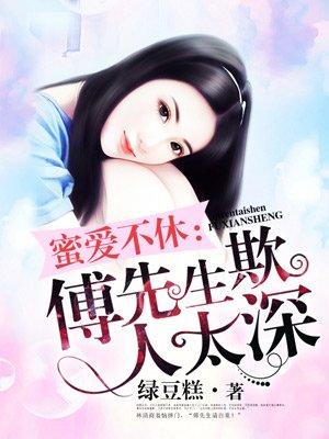 傅先生欺人太深封面