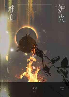 妒火难抑封面