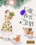 七零春光正好封面