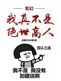 玄幻我真不是绝世高人封面
