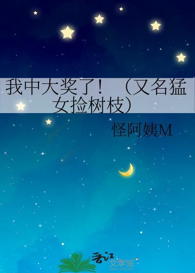 我中大奖了封面