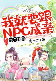 我就要跟NPC成亲,你丫闭嘴!封面