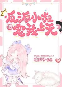 嫁给前任他小叔封面