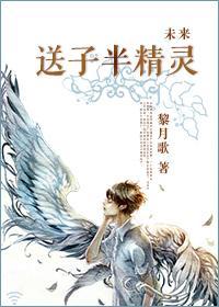 未来之送子半精灵封面