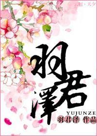 羽君泽封面