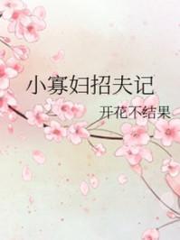 小寡妇招夫记封面