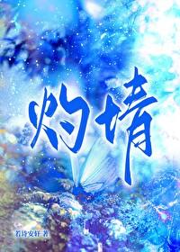 灼情封面